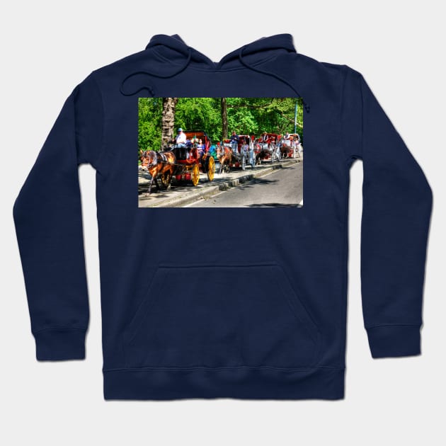 Central Park Carriage Ride Hoodie by tommysphotos